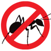 Ant Control Malvern